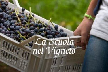 4 la scuola nel vigneto
