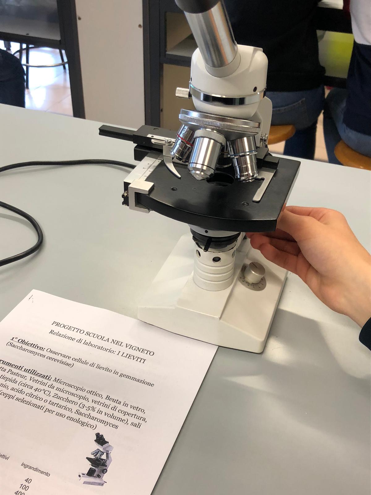 Foto da Renzo Composta (20)