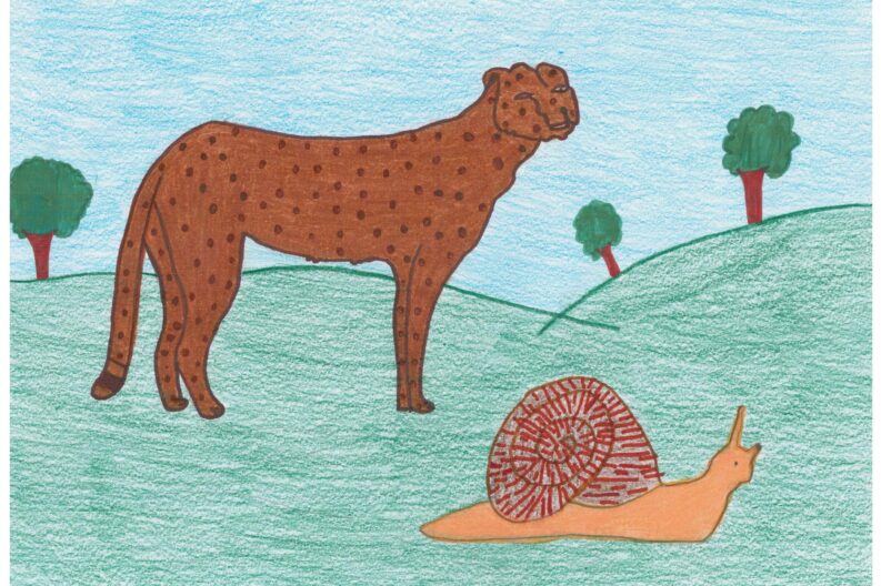 LA LUMACA E IL GHEPARDO