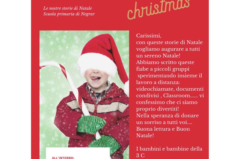 Red Photo Christmas Newsletter