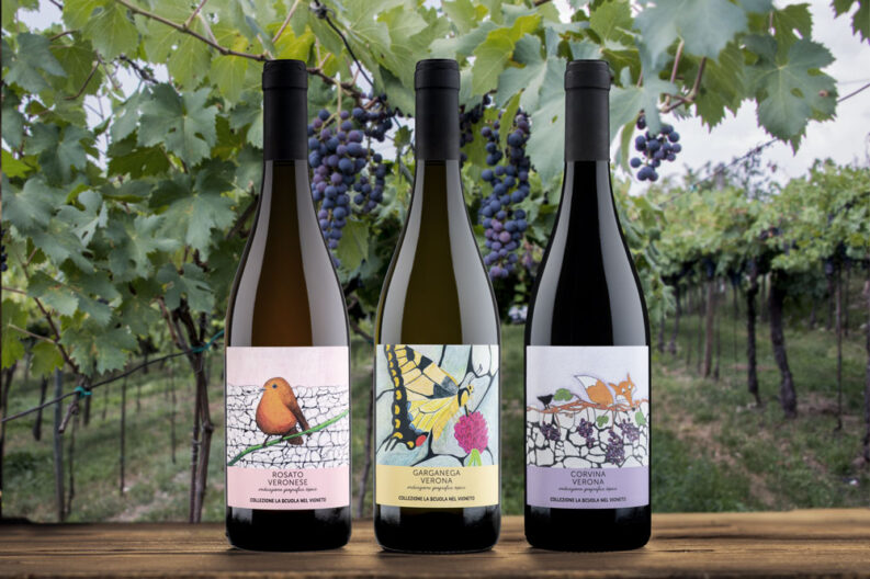 scuola-del-vigneto-ambientata-2