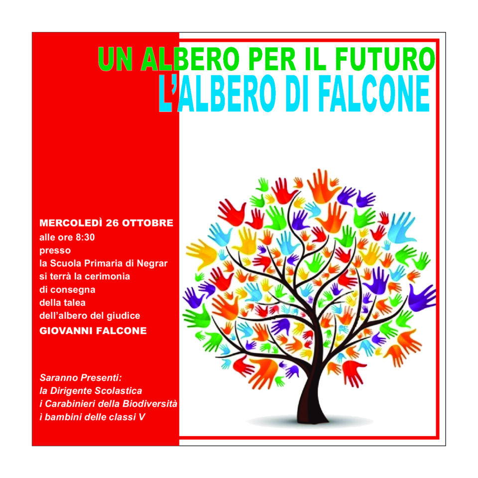 albero-di-Falcone